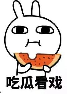 娱乐吃瓜酱漂流瓶,揭秘娱乐圈幕后故事